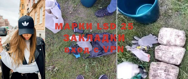 хмурый Лагань